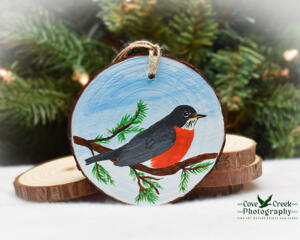 A handcrafted wood slice Christmas ornament with a handpainted bird at Cove Creek Photography.